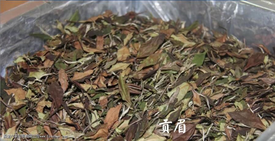 ���ײ�����������ڰײ����ɫ�����ֵܷ�����