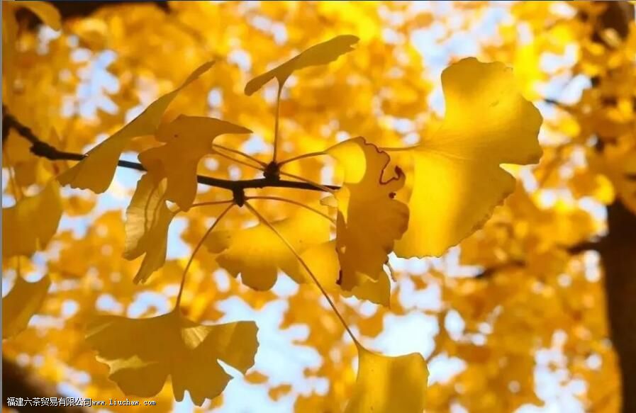 �����ϻ����ݵ������������ײ衱����