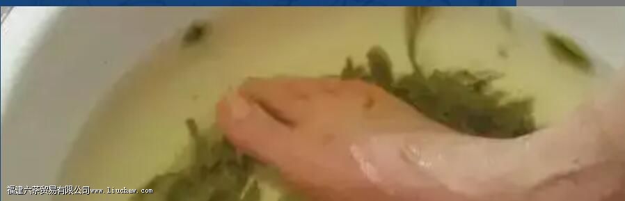 12个茶渣、茶底的妙用,泡过的茶叶还可以这样利用 12个茶渣、茶底的妙用,泡过的茶叶还可以这样利用