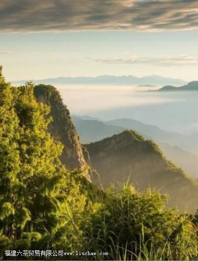 ����ɽ��ɽ����ʲô��