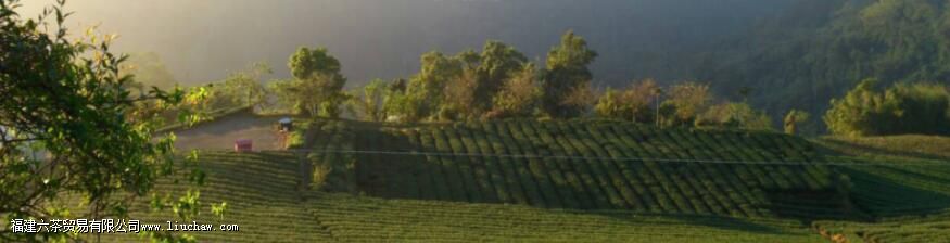 ����ɽ��ɽ����ʲô��