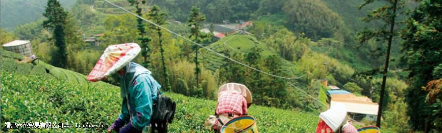 ����ɽ��ɽ����ʲô��