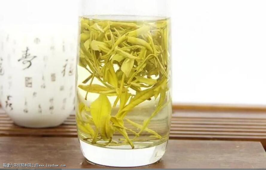 安吉白茶和黄金芽哪个氨基酸高 安吉白茶和黄金芽哪个氨基酸高