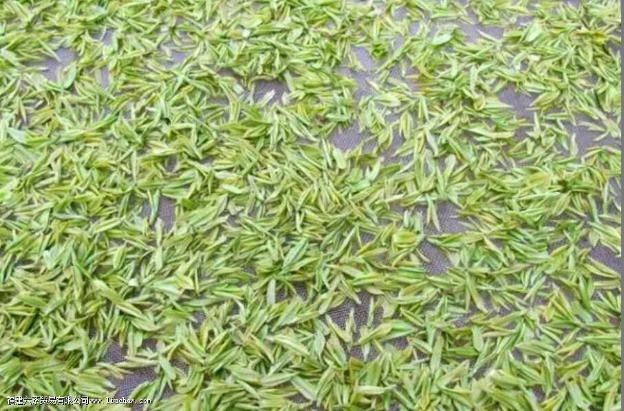 安吉白茶是属于什么茶类 安吉白茶是属于什么茶类