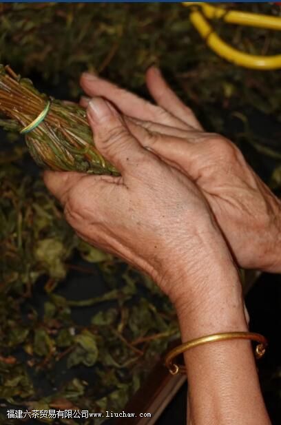 �˽�ͤ�������ʲô��