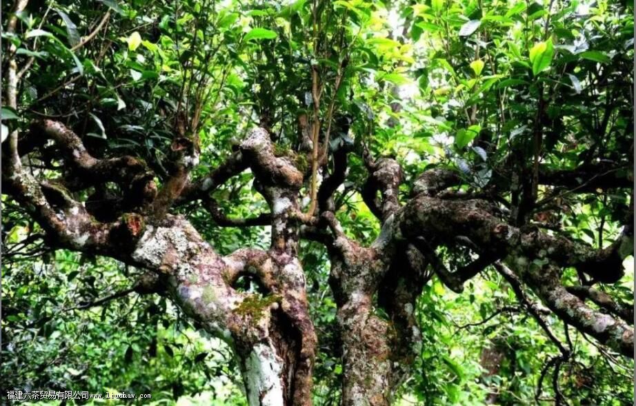 �ʹ�ɽ��������ص�