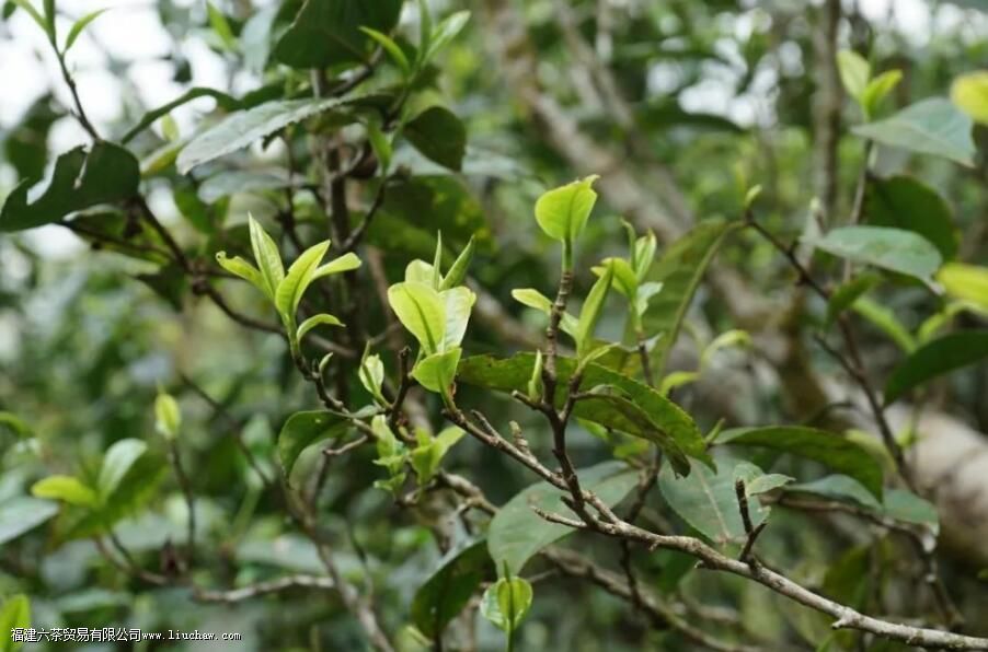 �������ʲô�ص�