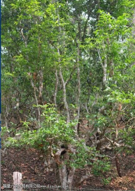 �������ʲô�ص�