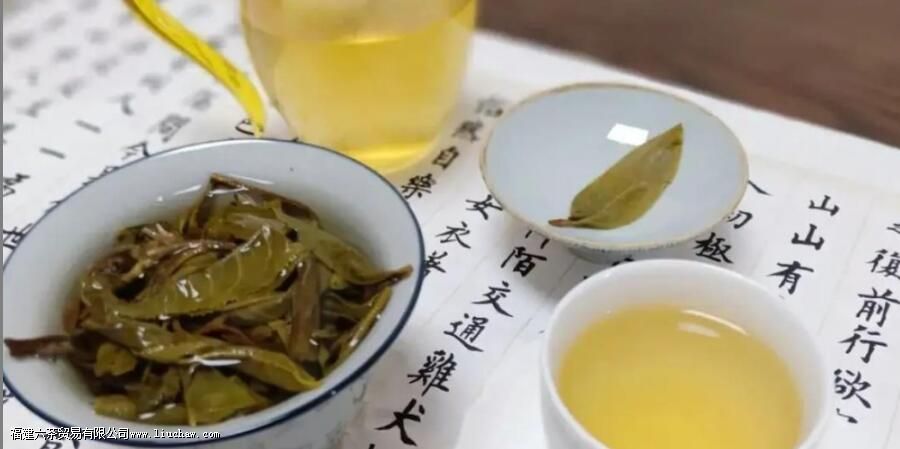 坝糯藤条茶介绍 坝糯藤条茶介绍