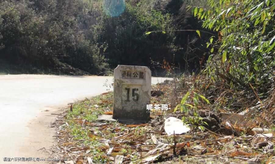 坝糯藤条茶是什么茶,有什么特点 坝糯藤条茶是什么茶,有什么特点