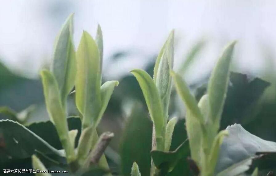 �ײ裬�й�����ļ�������