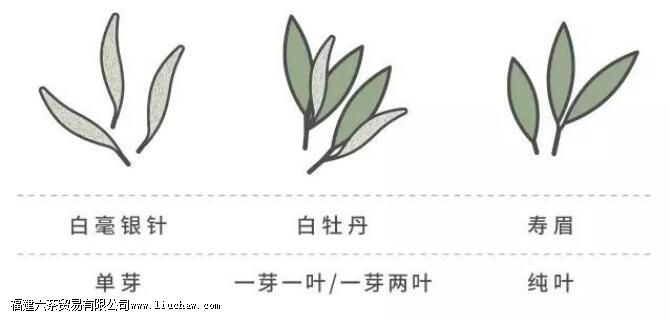 �ײ裬�й�����ļ�������