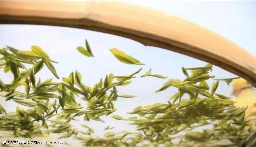 白茶产量 白茶产量