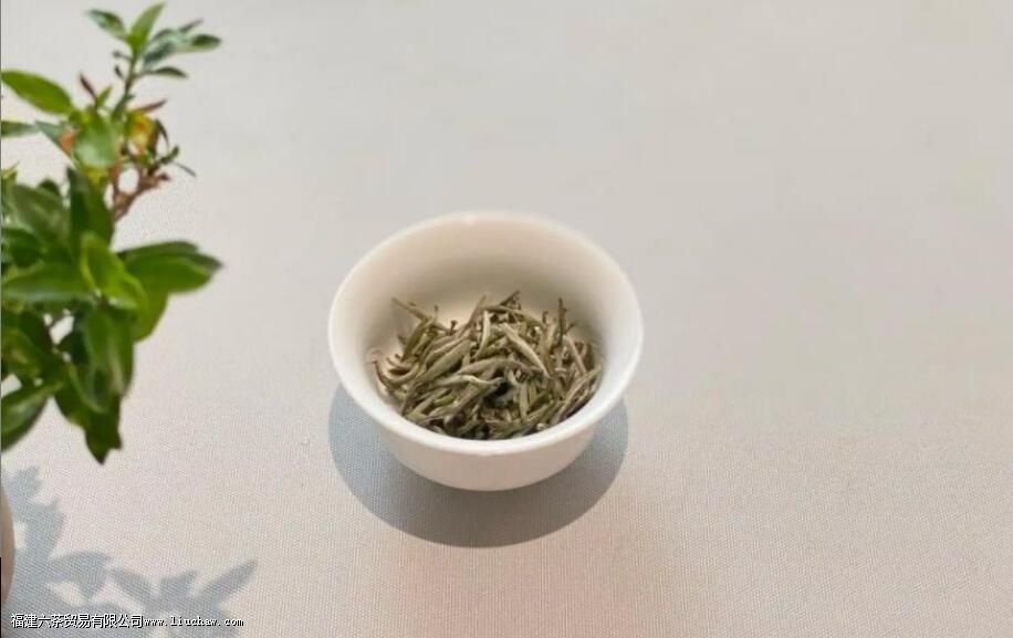 白茶的入口生津,是怎么感觉出来的 白茶的入口生津,是怎么感觉出来的