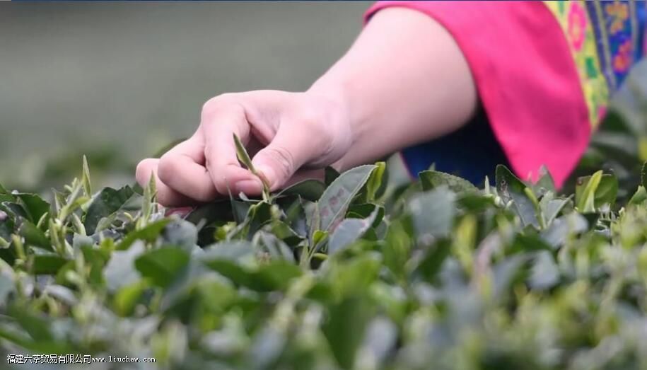 �ײ��ʮ����ָ����ʲô