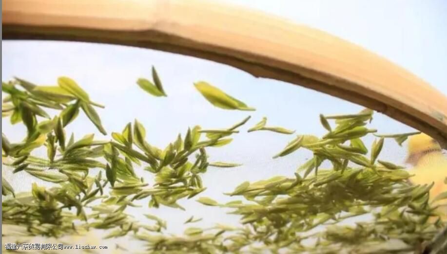 �ײ��ʮ����ָ����ʲô