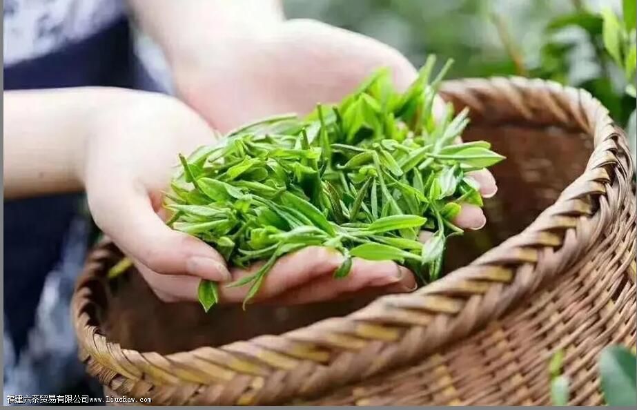 �ײ��ʮ����ָ����ʲô