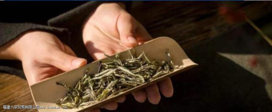 白茶的特点是什么 白茶的特点是什么