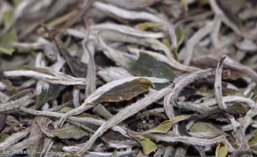 白茶的特点是什么 白茶的特点是什么