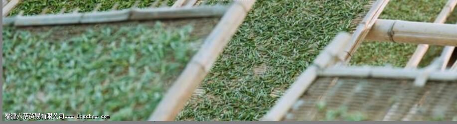 �ײ��������������