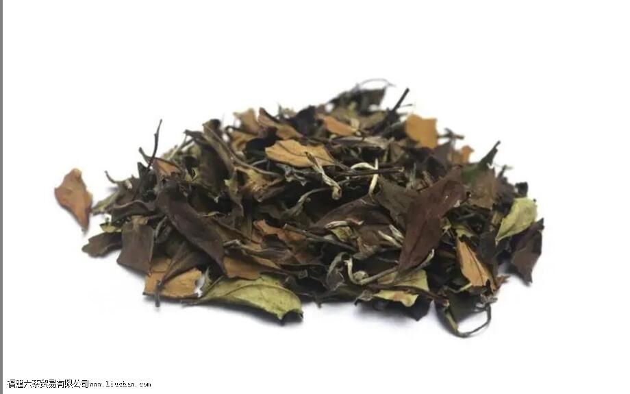 �ײ��������������