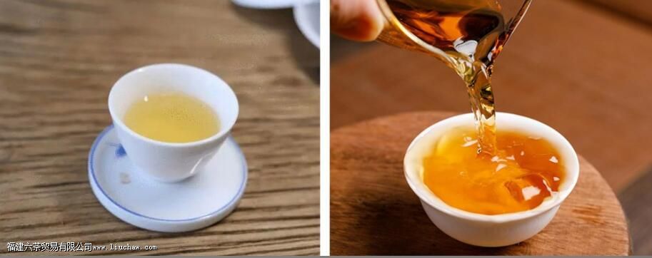 白茶和老白茶有什么区别 白茶和老白茶有什么区别