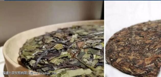 白茶和老白茶有什么区别 白茶和老白茶有什么区别