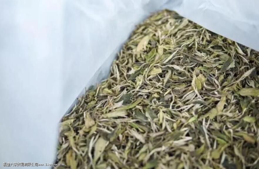 白茶适合女人喝吗 白茶适合女人喝吗