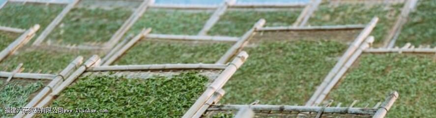 �ײ�����ʲô����ԷŶ��