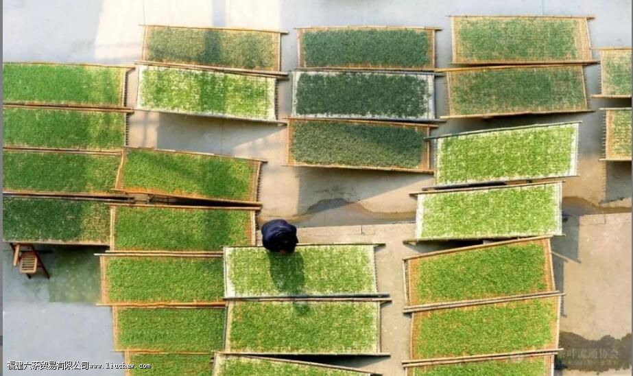 �ײ��еĹ�ü������ʲô������ü�Ͱ�ĵ���������