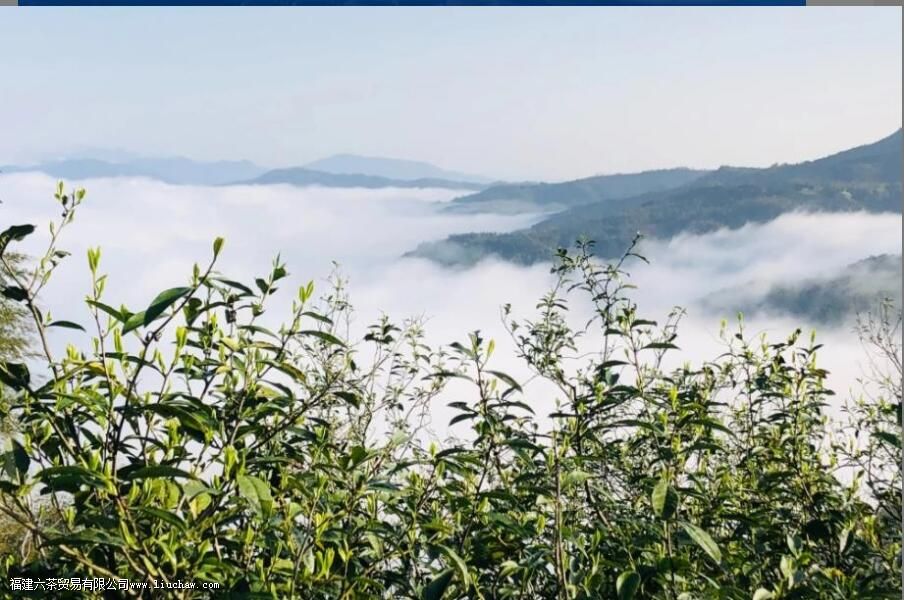 ��ĵ��������ʲô����