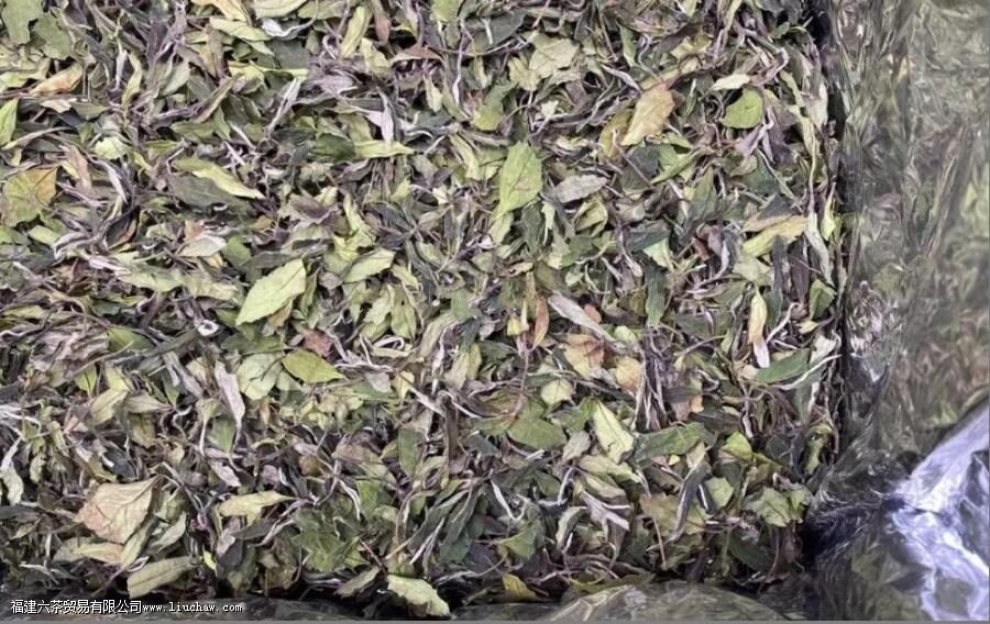 白牡丹属于什么茶 白牡丹属于什么茶