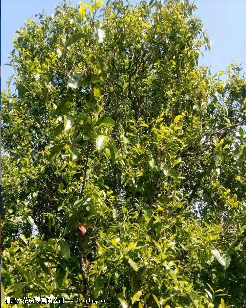 ��ݺɽ�����Ӳ���ص�