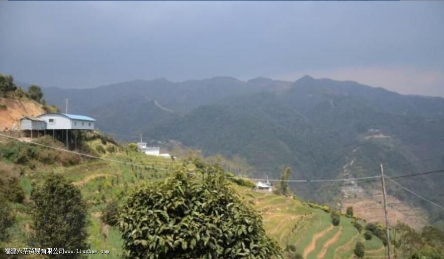 ��ݺɽ�ն�������Щ�ص�