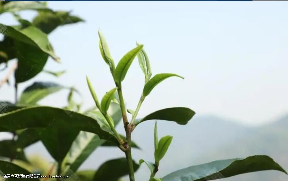 ���¡��ϰ��¡��°��¡�����£�������ʲô����