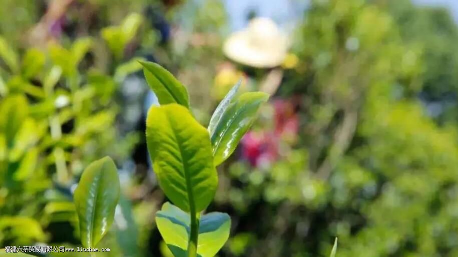 ���¡��ϰ��¡��°��¡�����£�������ʲô����