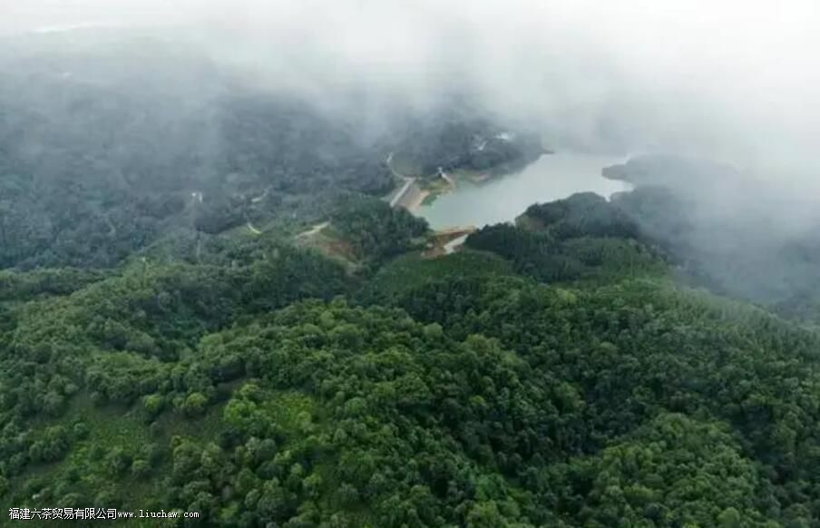 ���²����������