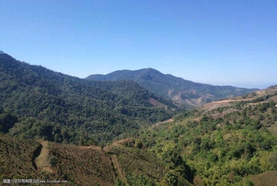 ���²����������