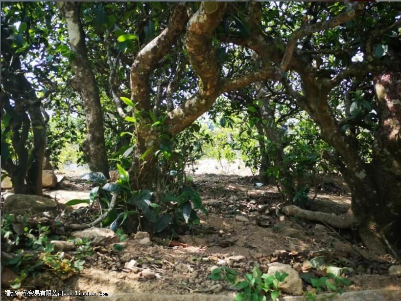 ���²����������