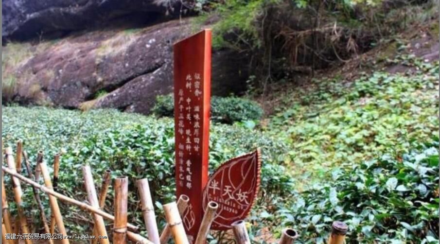 �������Ҳ�Ľ����Լ��ص�