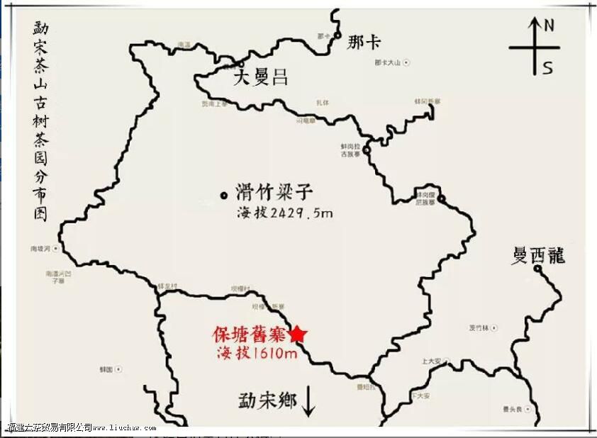 保塘老寨普洱茶的特征 保塘老寨普洱茶的特征