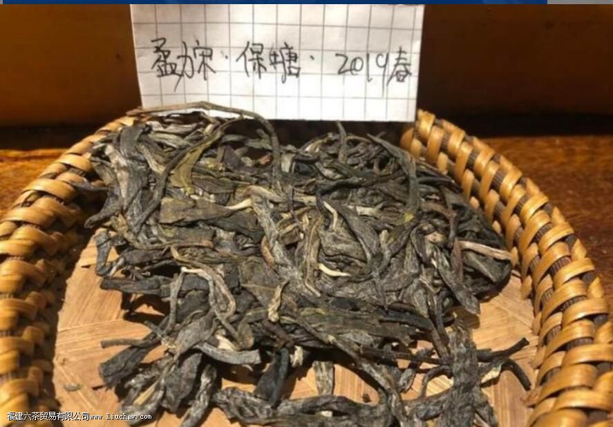 保塘老寨普洱茶的特征 保塘老寨普洱茶的特征