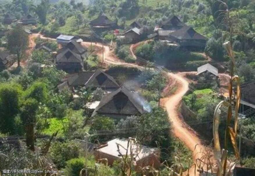 保塘普洱茶有什么特点 保塘普洱茶有什么特点