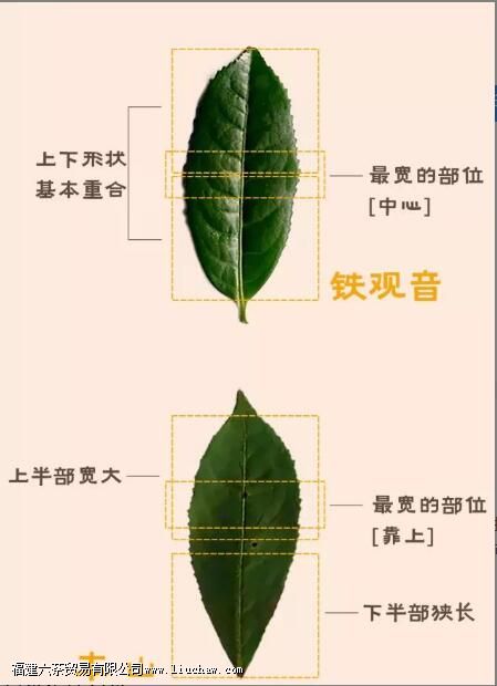 ��ɽ��ʲô��