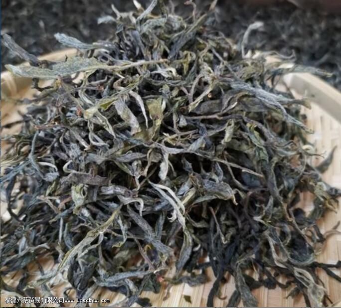 冰岛单株是什么意思有哪些优点 冰岛单株是什么意思有哪些优点