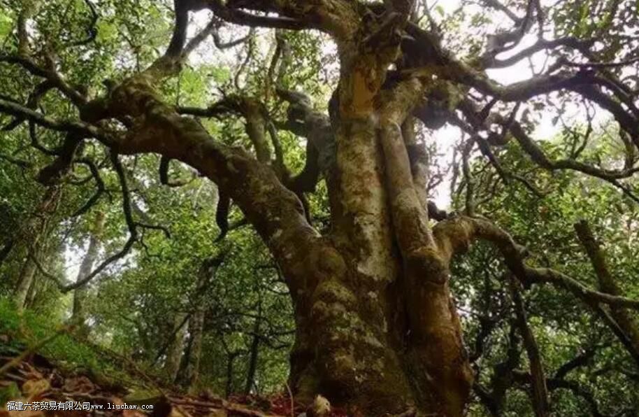 ������կ��������ص�