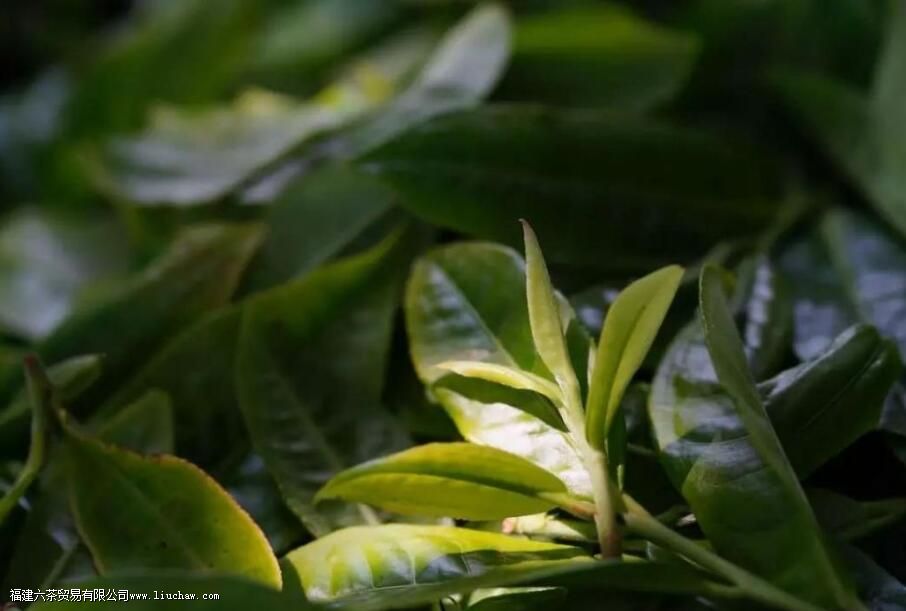 ������կ��������ص�