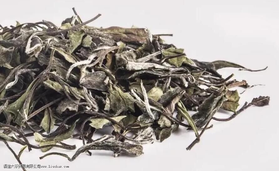 ������ŵ���ʲô