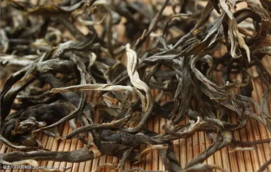 布朗山大叶种特征 布朗山大叶种特征