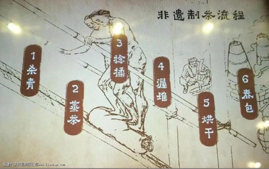 藏茶属于什么茶 藏茶属于什么茶
